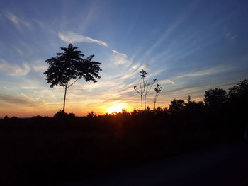 Silhouette trees on field against sky at sunset