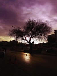 Silhouette trees by road against sky at sunset