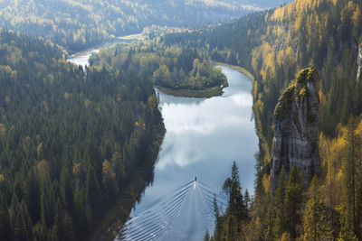 Panoramic view of pine trees and mountains against sky