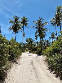 Dirt road amidst trees against sky