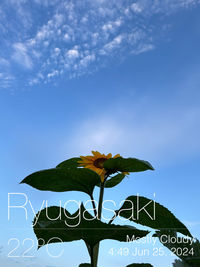 sky