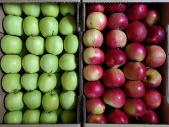 Close-up of fruits