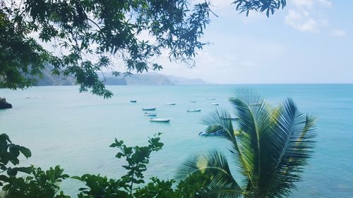 View of calm blue sea against the sky