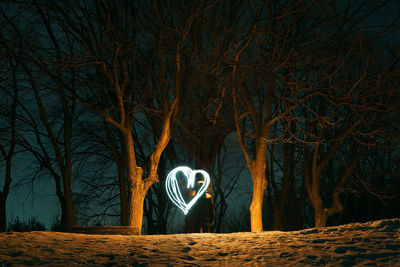 Person with heart shaped light painting by trees on field at night