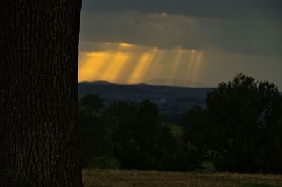 Scenic view of trees against sky during sunset