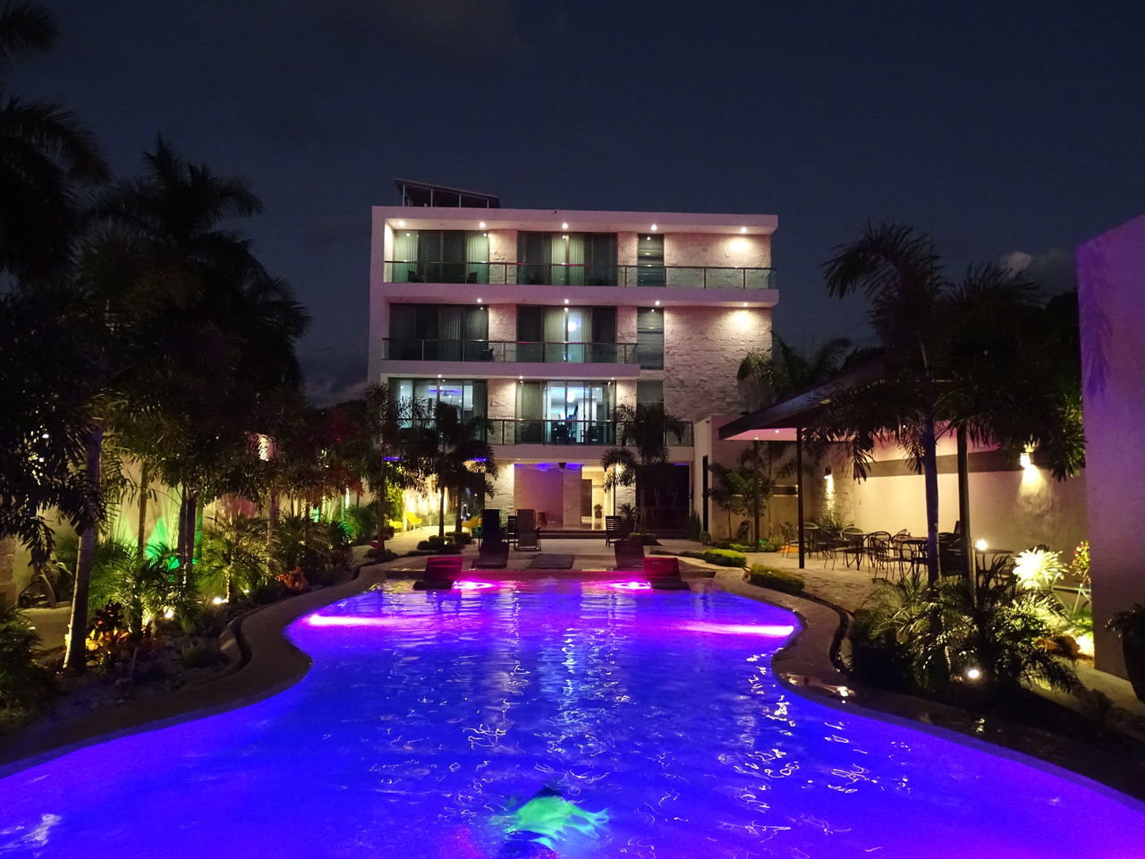 night, illuminated, tree, pool, swimming pool, architecture, building exterior, water, built structure, plant, nature, no people, palm tree, outdoors, tropical climate, building, hotel, lighting equipment, dusk, luxury