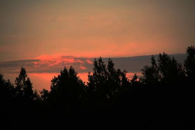 Silhouette trees against dramatic sky during sunset