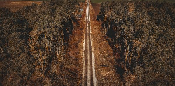 Light trails on landscape