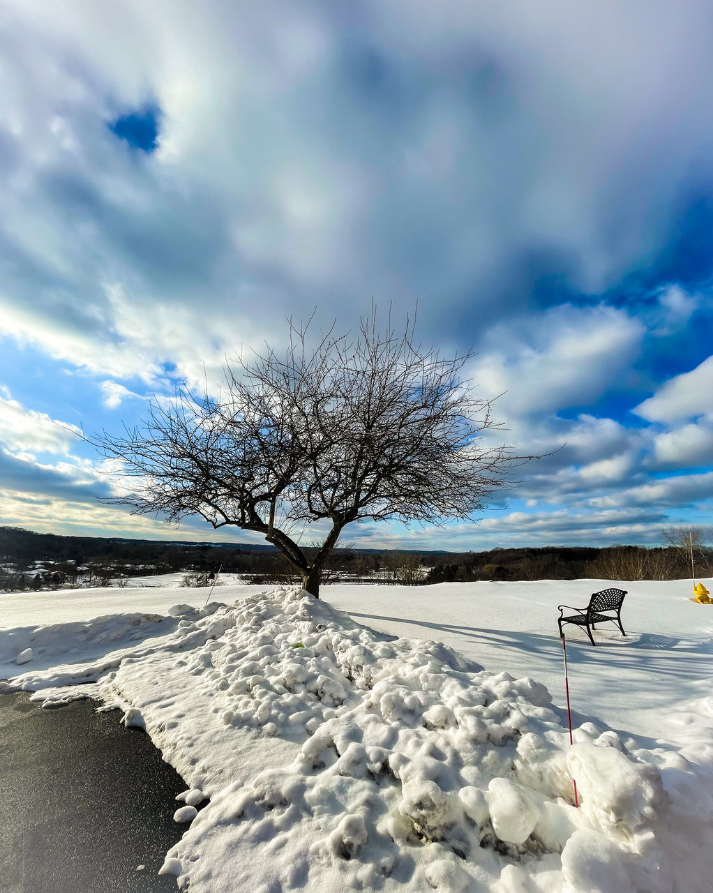 SNOW COVERED TREE ON FIELD AGAINST SKY