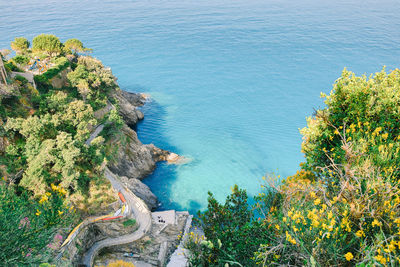 High angle view of trees by sea