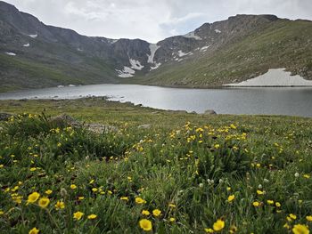 Scenic view of lake and mountains against sky