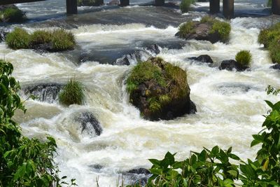 Scenic view of waterfall