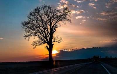 Silhouette tree by road against sky during sunset