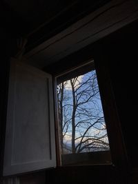 Bare trees seen through window