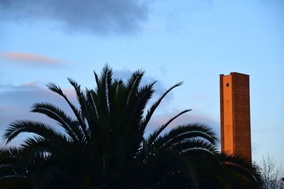 Low angle view of palm trees against sky