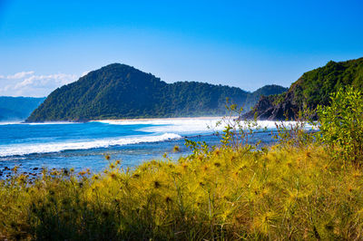 Scenic view of sea against clear blue sky