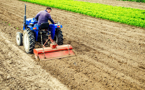 Farmer drives a tractor with a milling machine. loosens, grind and mix soil on plantation 