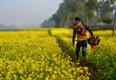 rapeseed