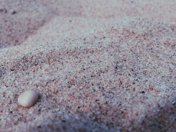 Surface level of pebbles