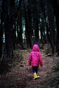 Rear view of woman walking in forest