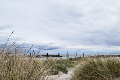 Scenic view of beach against sky