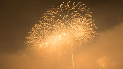 Low angle view of firework display at night