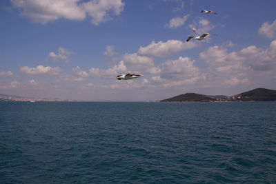 Seagulls flying over sea against sky