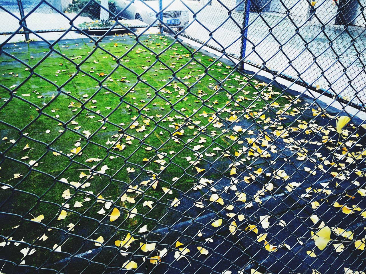 chainlink fence, fence, pattern, protection, full frame, metal, safety, high angle view, backgrounds, day, outdoors, sunlight, nature, no people, security, tree, growth, design, park - man made space, metal grate