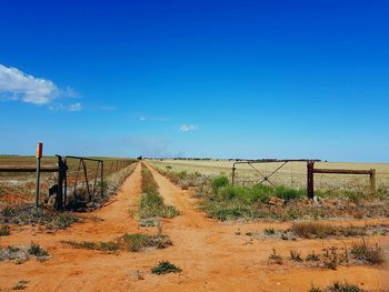 Scenic view of landscape against clear blue sky