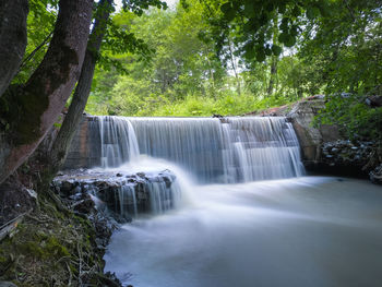 Low angle view of waterfall in forest