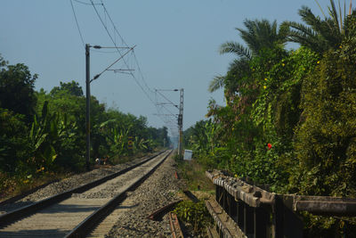 Railroad tracks amidst trees against sky