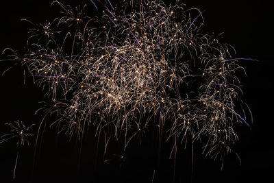 Low angle view of firework display at night
