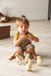 Boy playing with ducks for easter