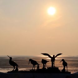 Silhouette birds on beach against sky during sunset