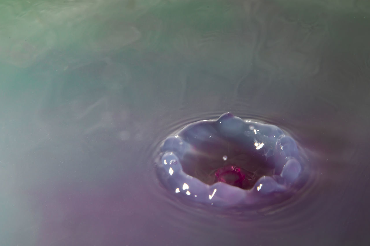 HIGH ANGLE VIEW OF WATER DROP ON SURFACE