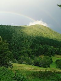 Scenic view of green landscape against sky