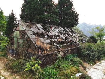 Plants growing on old abandoned building