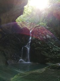 Scenic view of waterfall in forest