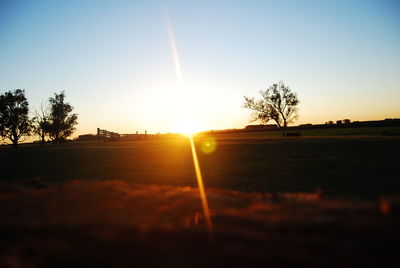 Silhouette trees on field against sky at sunset