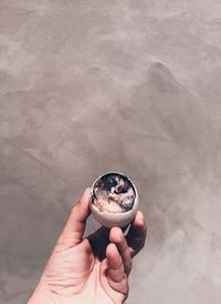 High angle view of person holding balut