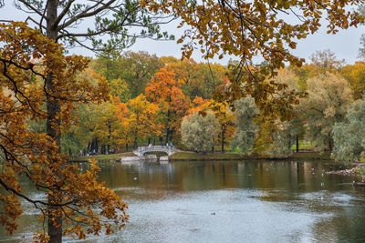 Scenic view of lake in forest during autumn