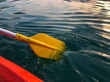 High angle view of yellow floating on water