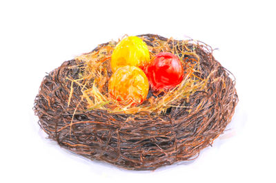 High angle view of bird in nest