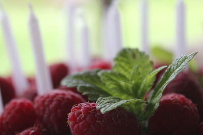 Close-up of fruits on table