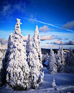 Snow covered landscape against blue sky