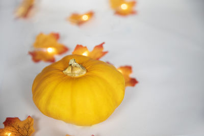 Close-up of pumpkin against yellow background