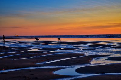 Scenic view of sea at sunset