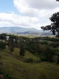 Scenic view of field against sky