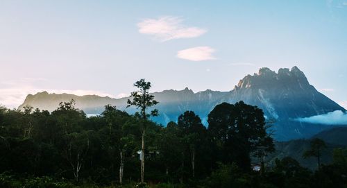 Scenic view of trees and mountains against sky
