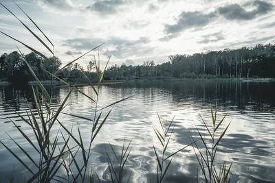 Scenic view of lake against sky